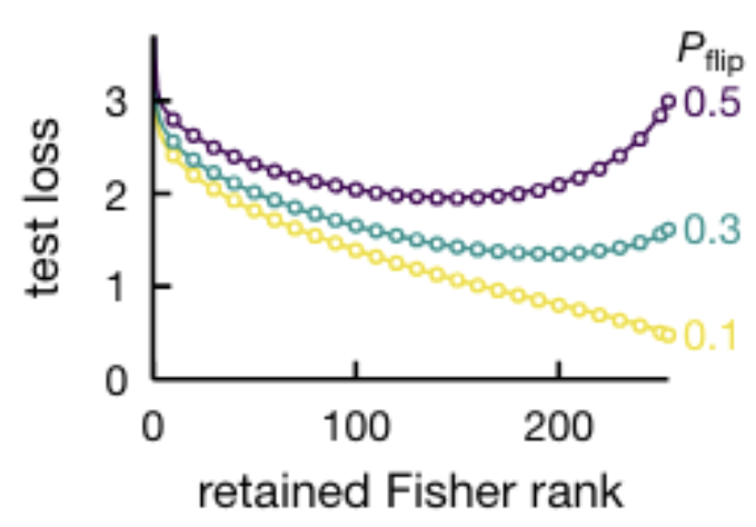 fisher-memorization.png